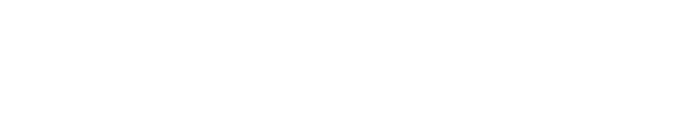 Palram_Logo_Horizontal_White_RGB_Digital-1000